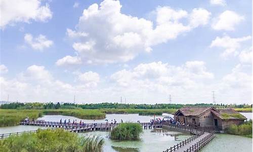 杭州湾湿地公园附近景点有哪些,杭州湾湿地