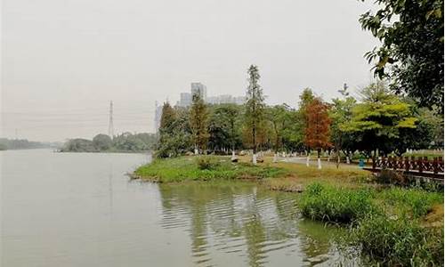 南沙蕉门公园可以游泳吗最近,广州南沙蕉门