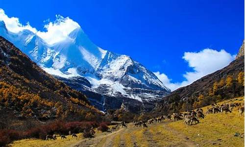 九月稻城亚丁旅游攻略_9月稻城亚丁旅游攻