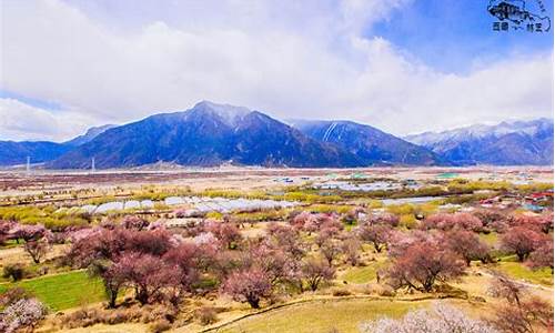 林芝旅游攻略3至4天住宿多少钱,林芝旅游