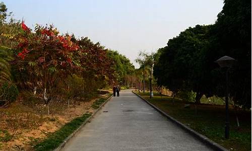 广州龙头山森林公园门票价格图片,广州龙头