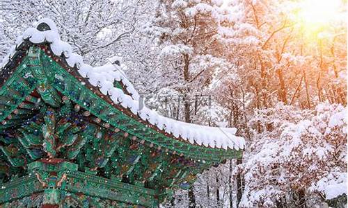 冬天去韩国,韩国冬季旅游攻略