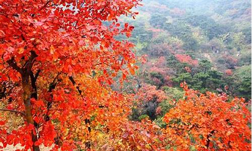 北京香山公园最佳游玩时间_北京香山公园好