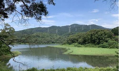 厦门天竺山森林公园门票多少钱_厦门天竺山森林公园在哪里