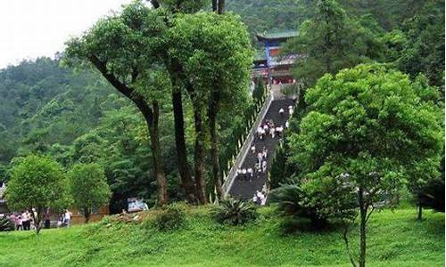 余山国家森林公园在哪,森林公园在哪