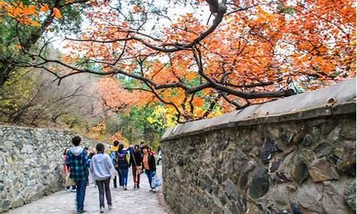 广东广州香山公司,广州香山公园景点详细介绍