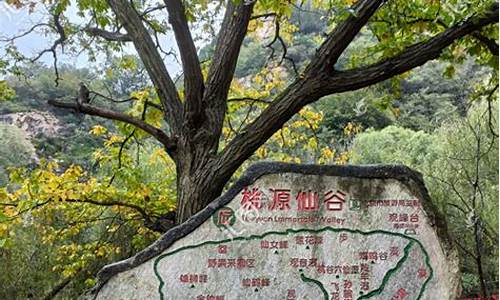 桃源仙谷自然风景区门票,桃源仙谷旅游路线