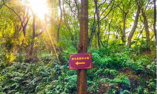 滴水岩森林公园徒步路线,滴水岩森林公园最佳爬山线路