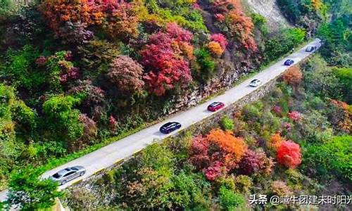 翠华山旅游攻略一日游,翠华山旅游攻略最新