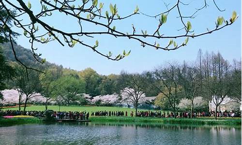 杭州太子湾公园门票价格,杭州太子湾公园门票