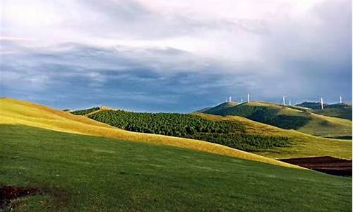 坝上草原旅游景点介绍,坝上草原旅游景区