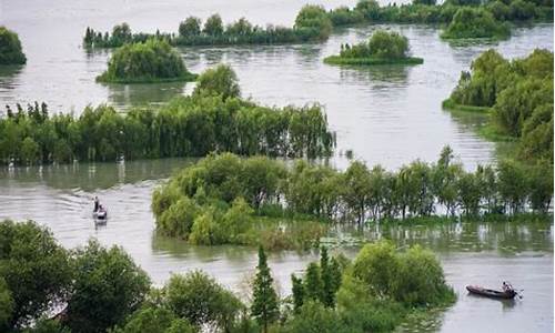 游太湖湿地公园记四年级作文,太湖湿地公园社会实践活动报告