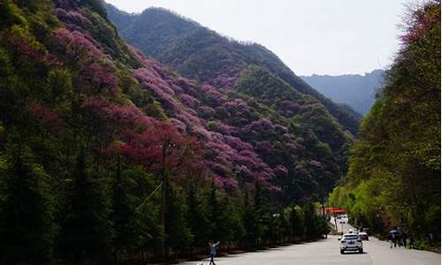 户县到太平森林公园煤场站在哪坐车_户县到太平森林公园