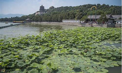 北京市区公园年票-2013北京郊区公园年票