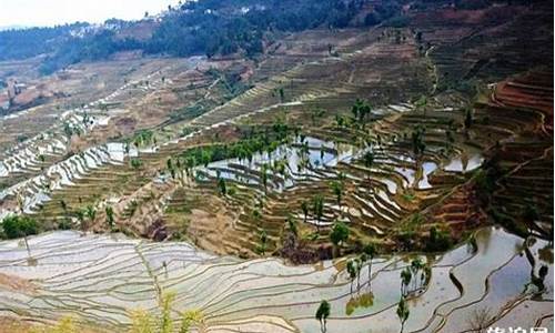 红河景点风景好的地方-红河旅游景点推荐