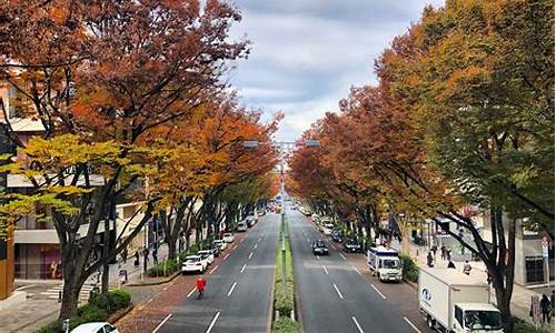 东京旅游攻略马蜂窝-东京旅游路线攻略