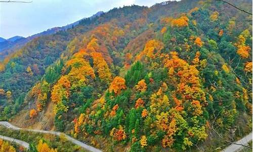 光雾山旅游攻略最新一日推荐路线-光雾山旅游攻略最新一日推荐