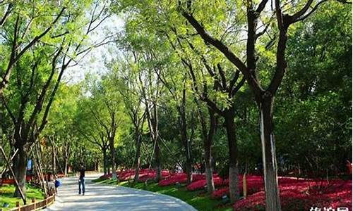 森林公园在哪个区_北京森林公园在哪个区