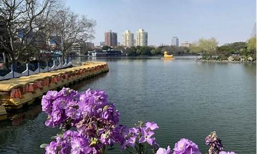 上海长风公园门票优惠政策_上海长风公园门